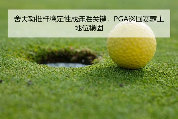 she-fu-lei-tui-gan-wen-ding-xing-cheng-lian-sheng-guan-jian-xun-hui-sai-ba-zhu-di-wei-wen-gu-3-972.jpg