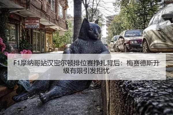 mo-na-ge-zhan-han-mi-er-dun-pai-wei-sai-zheng-zha-bei-hou-mei-sai-de-si-sheng-ji-you-xian-yin-fa-dan-you-2-964.jpg