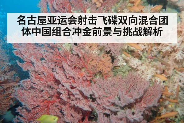 名古屋亚运会射击飞碟双向混合团体中国组合冲金前景与挑战解析