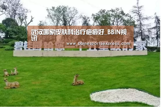 BBIN视讯