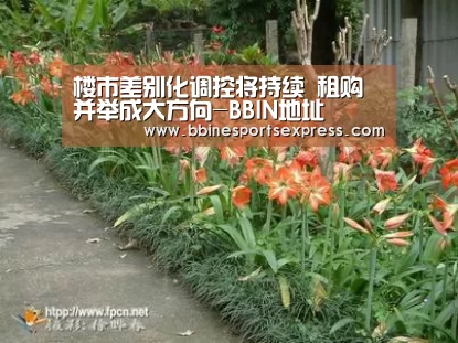 楼市差别化调控将持续 租购并举成大方向-BBIN地址(图3) BBIN电竞