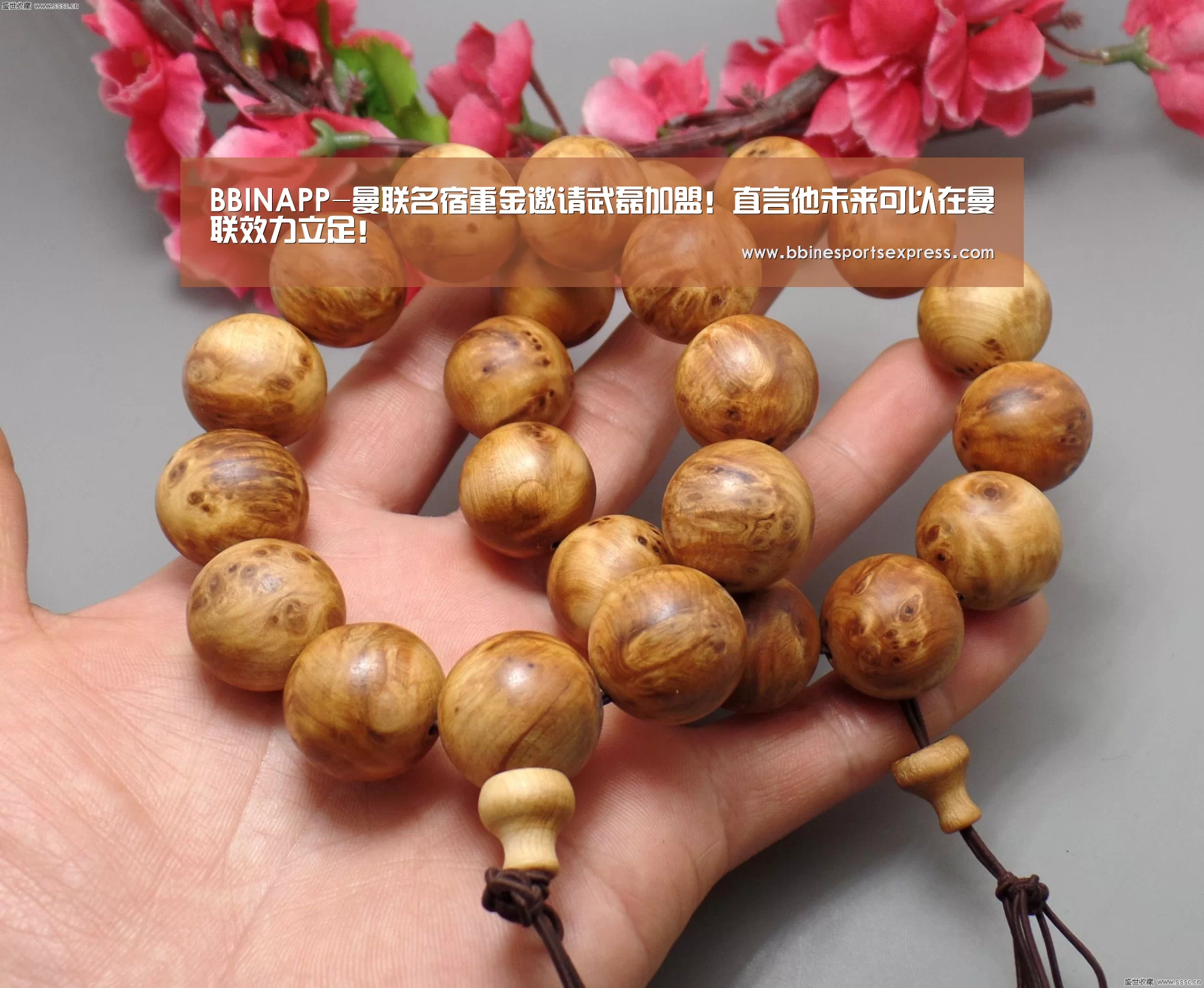 BBIN地址