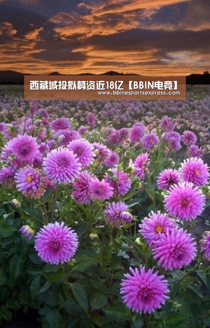 西藏城投拟募资近18亿【BBIN电竞】(图3)