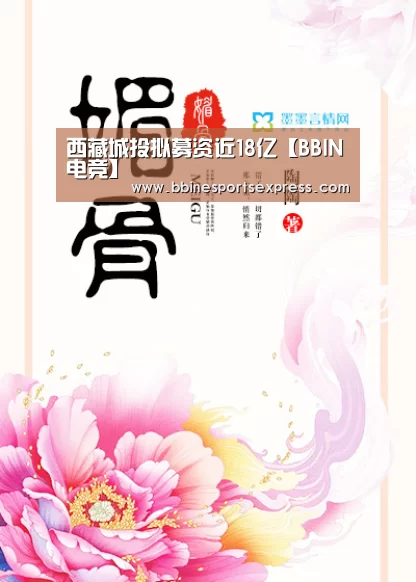 西藏城投拟募资近18亿【BBIN电竞】(图4)