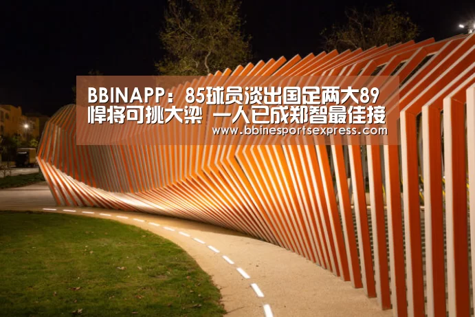 BBINAPP：85球员淡出国足两大89悍将可挑大梁 一人已成郑智最佳接班人(图2)