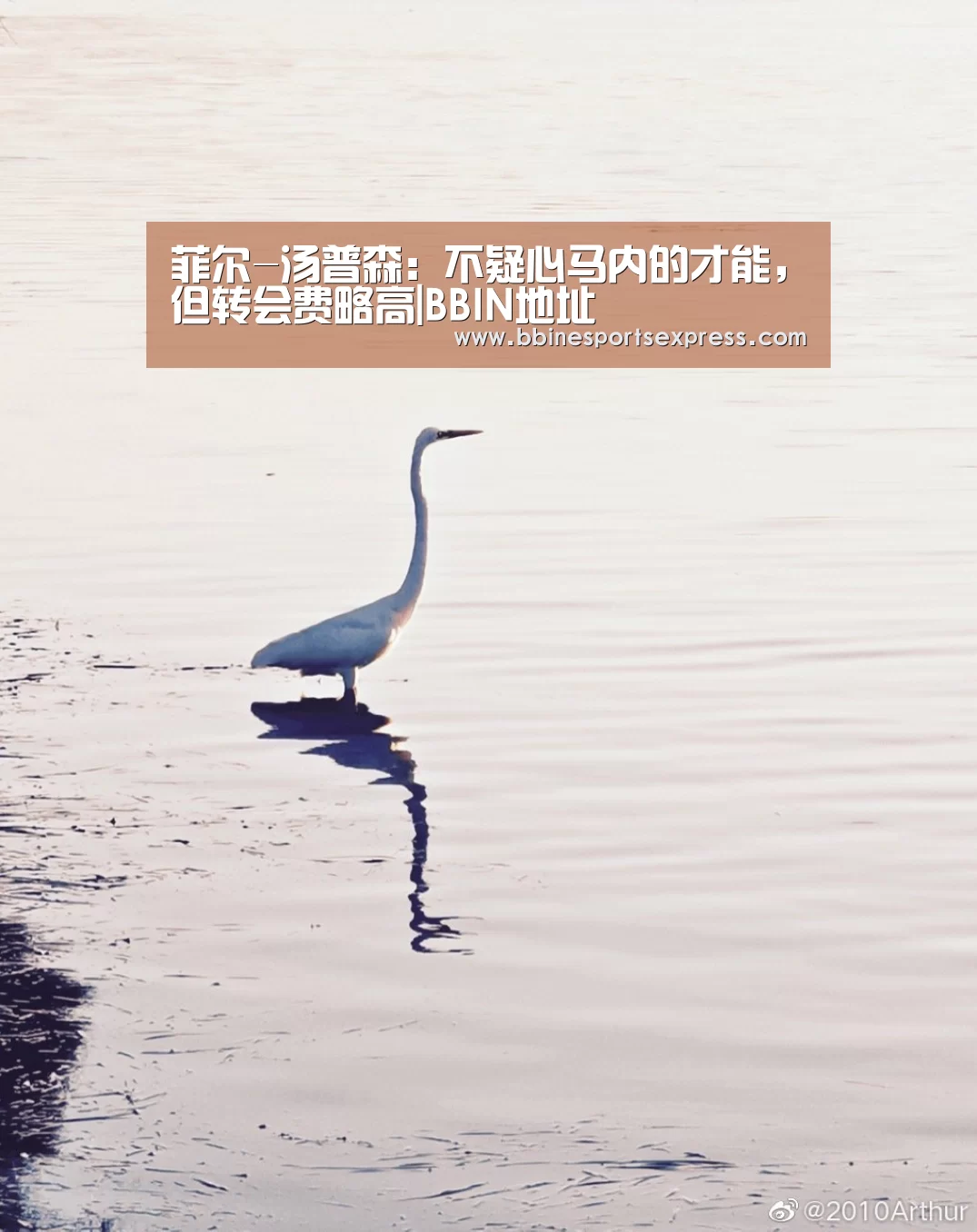 菲尔-汤普森:不疑心马内的才能,但转会费略高|BBIN地址(图1) BBIN地址